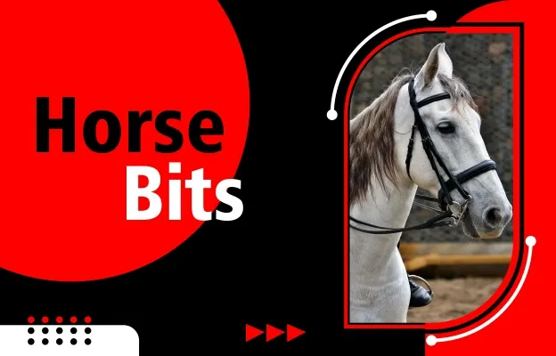 HORSE BITS